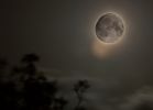 Whitecroft-Moon.jpg