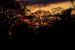ZSunset-Apr-9-07-0003.jpg