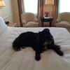 barney_carlyle_20150401.jpg
