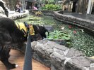 barney_carp_20180210.jpg