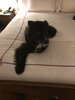 barney_sandiego_20161101.jpg