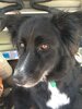 barney_vermont_20140401.jpg