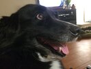 barney_vermont_20150305.jpg