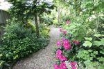 garden-path~1.jpg