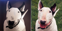 imitation-flattery.jpg