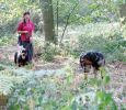 lords-wood4~0.jpg