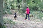 lords-wood5.jpg