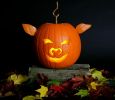 pig-pumpkin.jpg