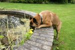 tiny-fountain.jpg