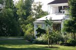 topiary-dog~0.jpg
