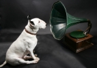 victrola-kiko.jpg