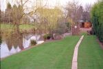 whitecroft-ducks.jpg