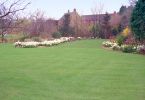 whitecroft-lawn4.jpg