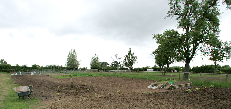 Maggot's Croft Vegetable Patch
We're growing (or trying to grow) our own vegetables next to the pig field at Maggot's Croft.
Schlüsselwörter: Maggot's Croft vegetable garden Lucies Farm