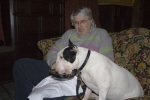 UK_Kiko_enjoying_water_after_tea_at_the_Lygon_Arms.jpg