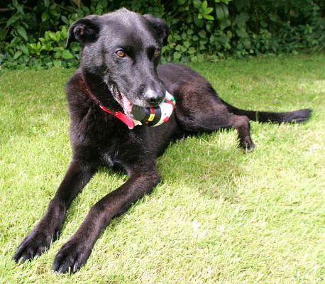 Jet
Ключевые слова: Jet