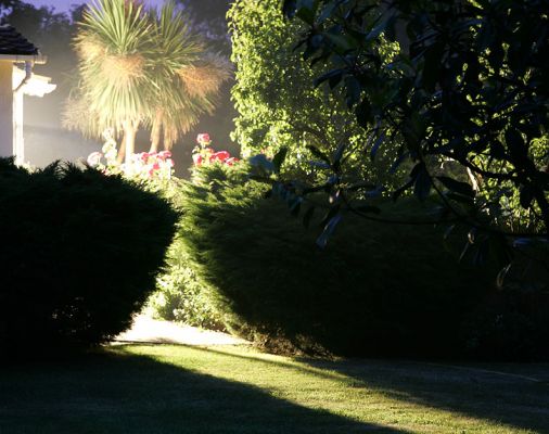 Whitecroft on a Summer Evening
Keywords: Whitecroft garden night summer evening roses path